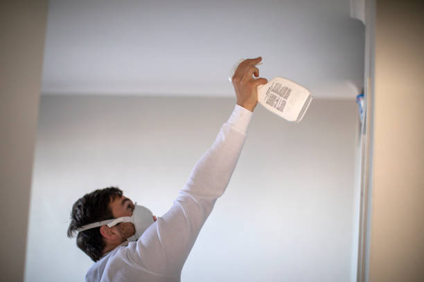 Office Mold Removal Services in La Plata, MD