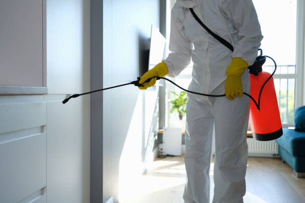 Best Residential Mold Removal  in La Plata, MD